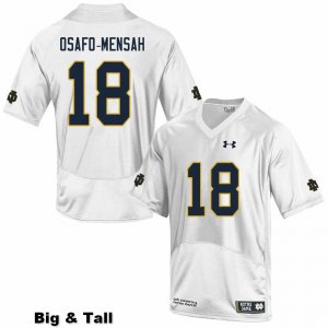 Notre Dame Fighting Irish Men's Nana Osafo-Mensah #18 White Under Armour Authentic Stitched Big & Tall College NCAA Football Jersey EFZ2699ZW